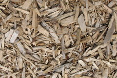 biomass boilers Cushendun